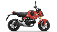 What Do You Want To Know About The 2022 Honda Grom?